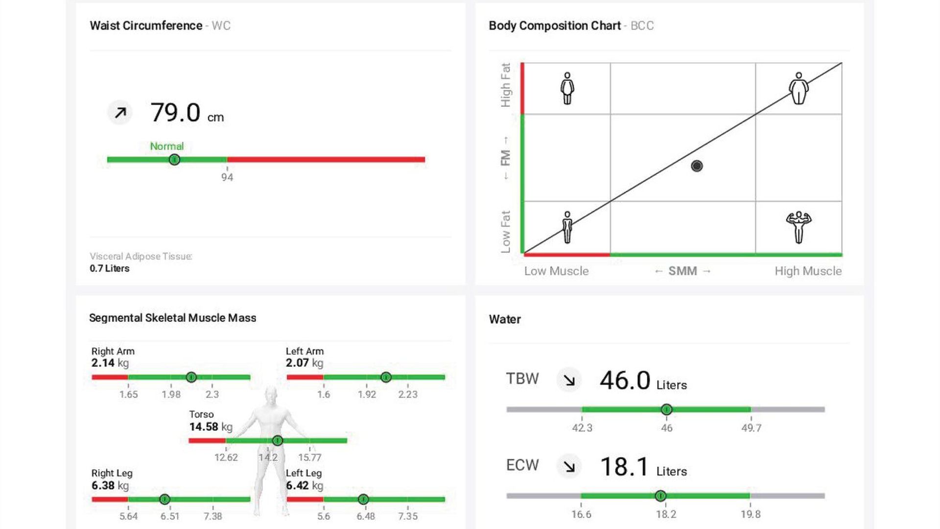Body Composition Analysis